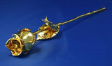 A Real Natural Rose Preserved and Dipped in 24k Pure Gold - 15cms (7") long - Small