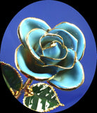 Natural Rose Lacquered with Pure Gold Edge - LIGHT BLUE - Two Tone
