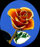 Natural Rose Lacquered with Pure Gold - ORANGE